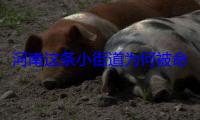 河南这条小街道为何被命名为全国唯一的“受降路”？